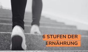 Read more about the article Die 6 Stufen der Ernährung
